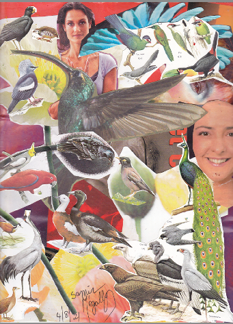 Reposez vous dans la nature